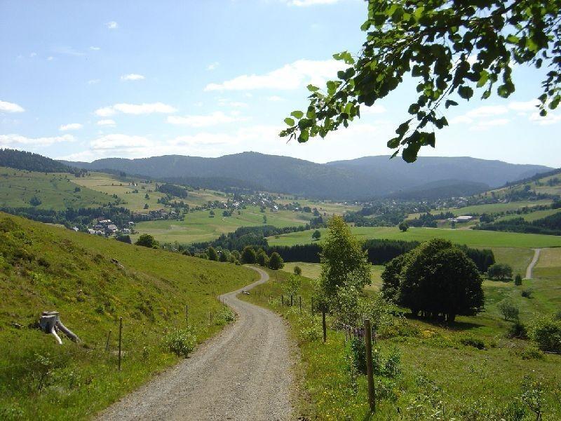 Ferienwohnungen Haus Marlene Kaiser Bernau im Schwarzwald Eksteriør bilde